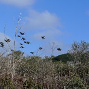 CoastCamp 147 : CoastCamp